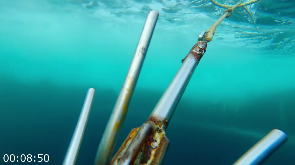 [Image: 8pcf7m7jon2c.png]