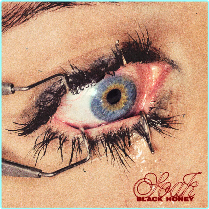 [Image: a3rt6yo9y5vb.png]