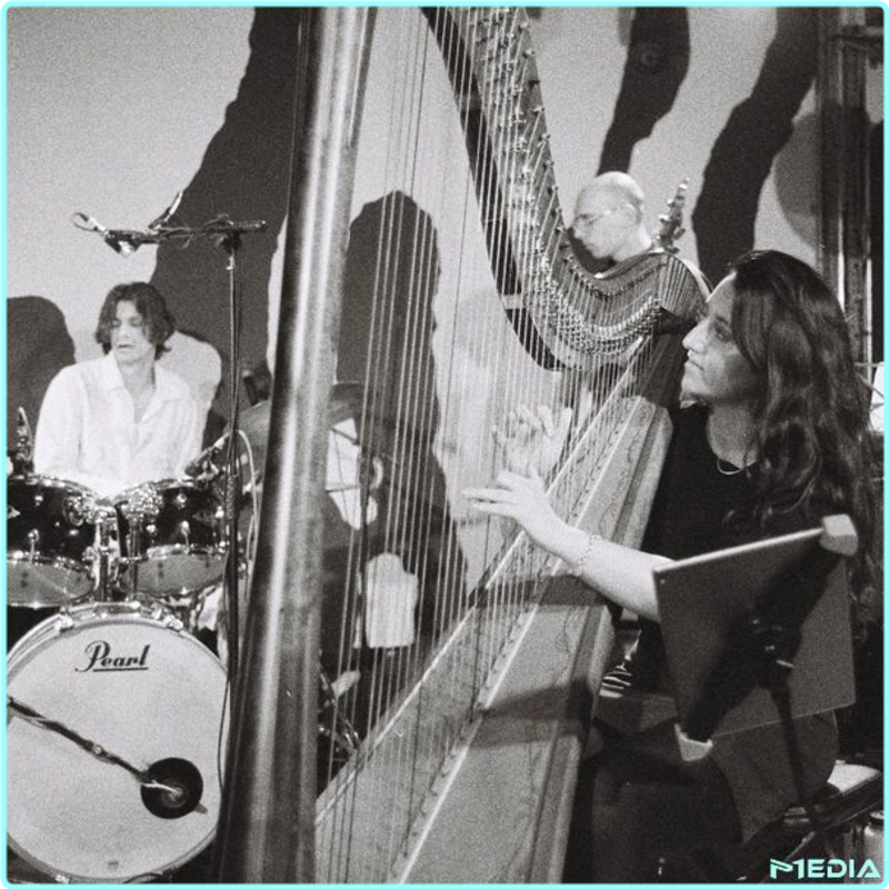 [Image: 9r0gsg5fpi2n.png]