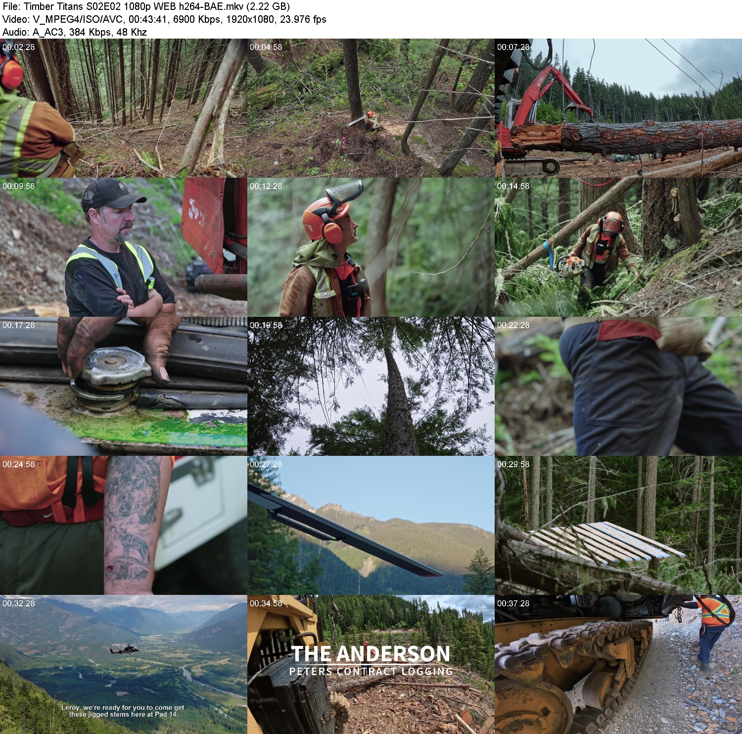 [Image: 4vm59yrba6rr.jpg]