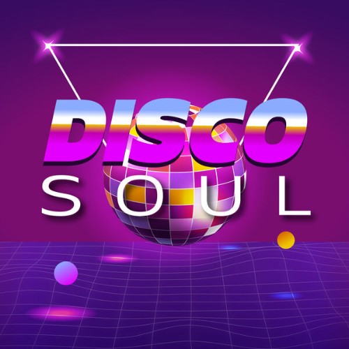 VA - Disco Soul (2026)