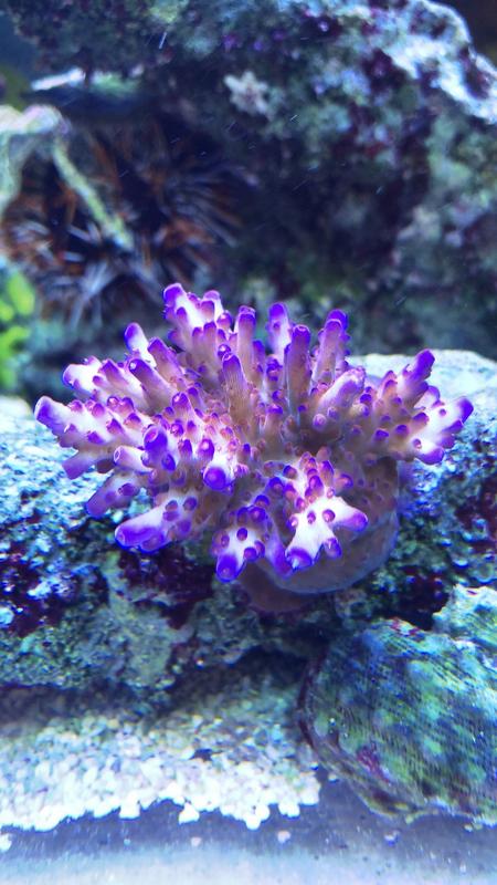 528E410E-552D-47D5-B055-168ED5A7C831