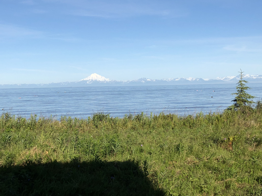 7CB49C9D-B327-463E-A1A2-D3294C6572F7