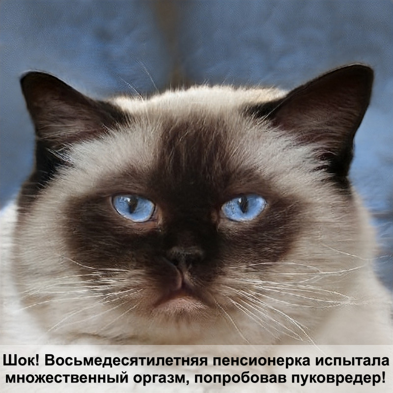 расческа для вычесывания кошек