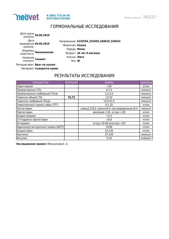 2019 Т4_LUX