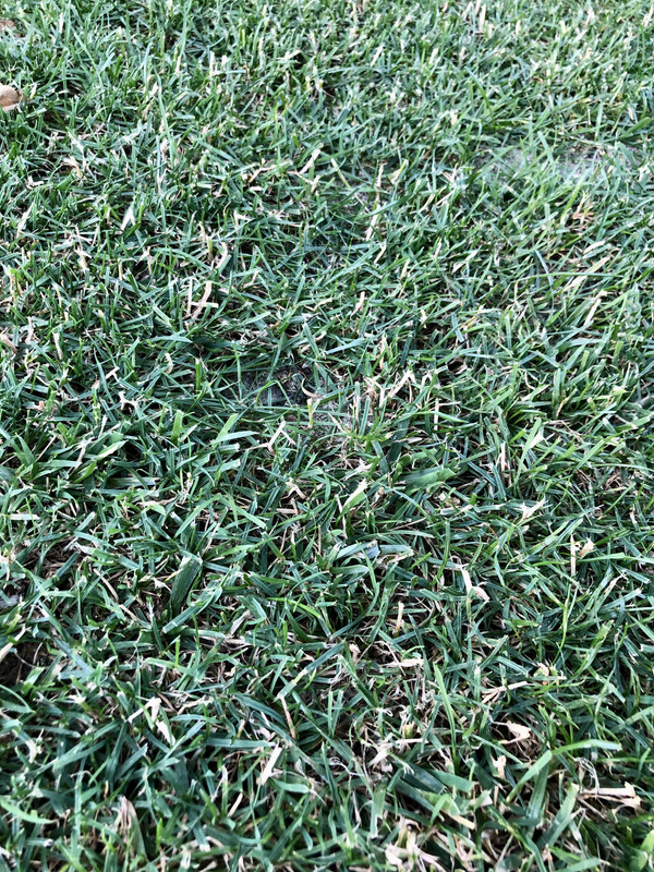 C19E923A-9508-429D-BCBA-C91D3C845353