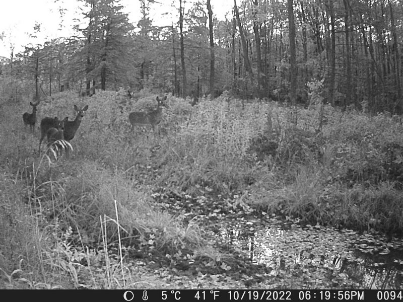 DD72B419-672A-4BA5-BA20-E3DD69CBB730