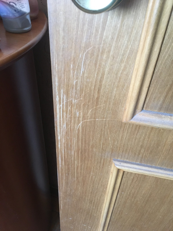 83252AC0-BC77-431E-B6AB-82FEB4C1F450