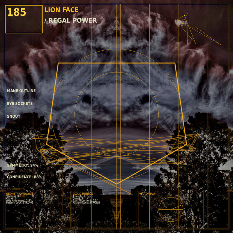 Lion face