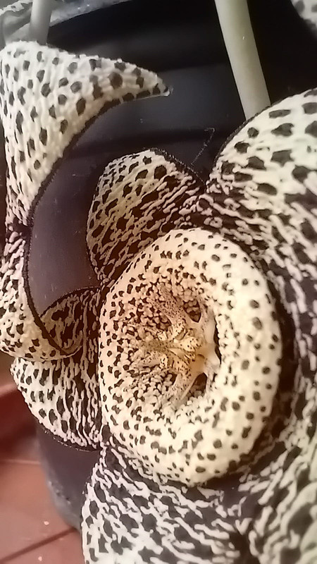 449401664_10228861693304523_4147020713989154985_n