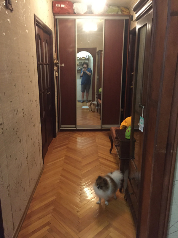 2E346BC3-B064-4C0C-806E-5D017C33A6FB