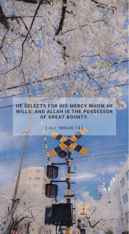 [ ali 'imran 74 ] — Postimages