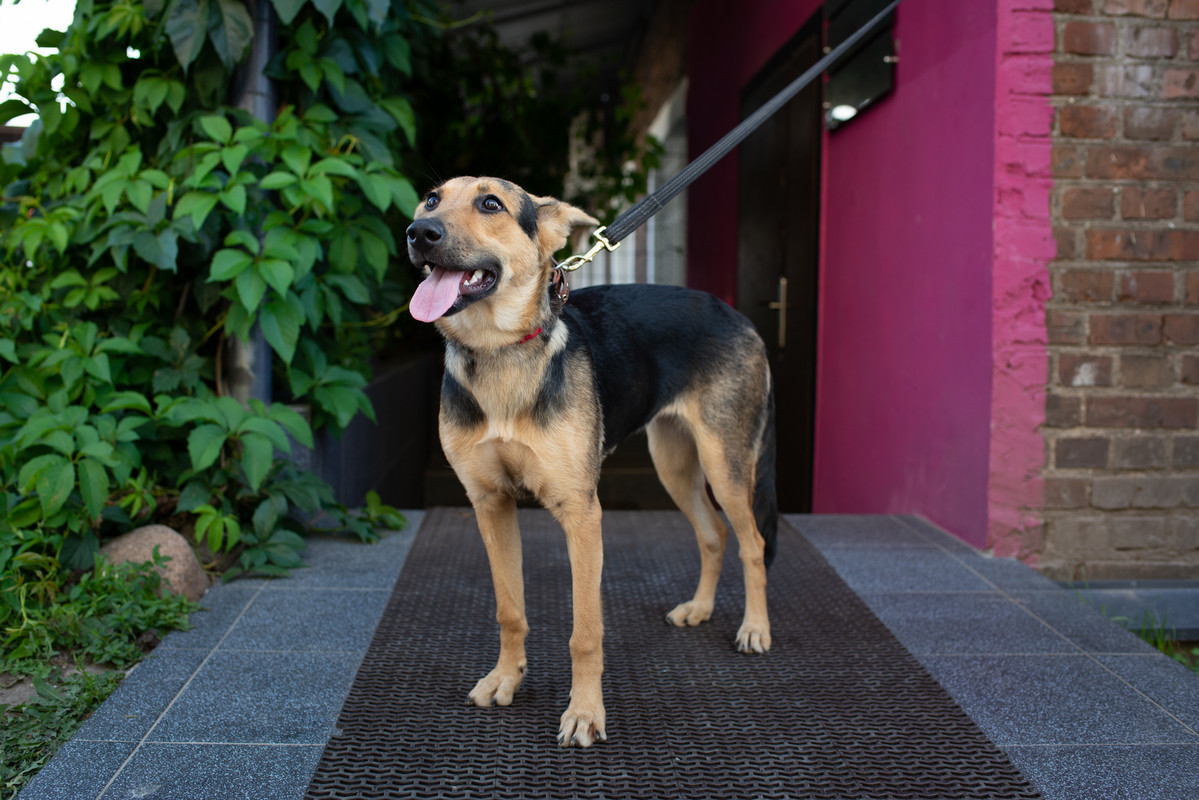 944079B1-B524-4BB5-8319-435576CABD2B