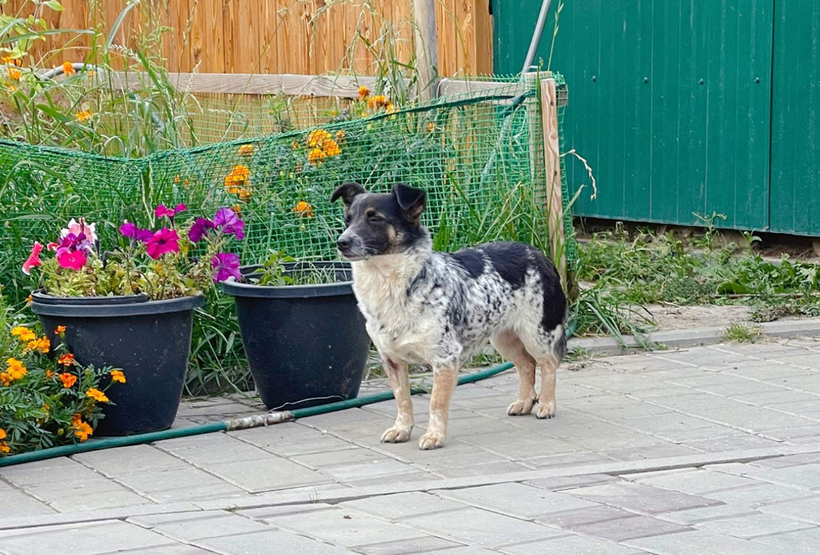 FC6735F4-368C-4657-9161-88C06FD3AEE8