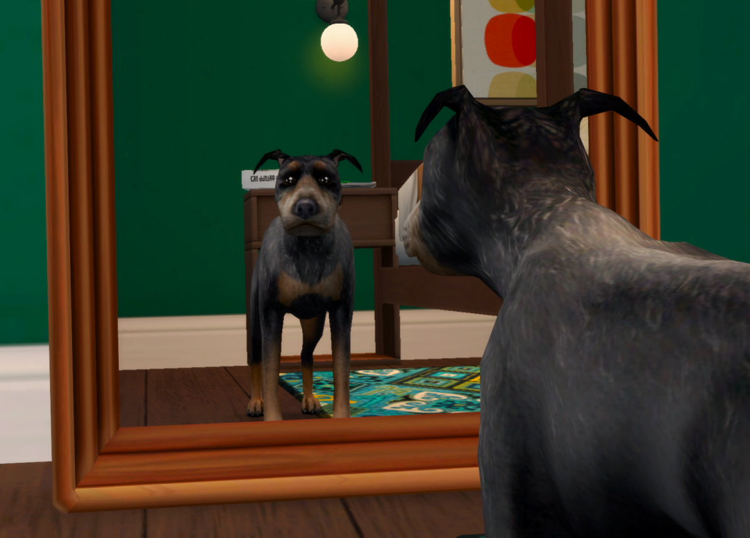 Sims2-EP9-RPC-2024-03-09-20-14-17-23