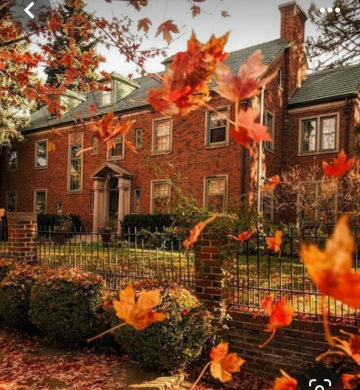 Screenshot_20231128_180131_Pinterest