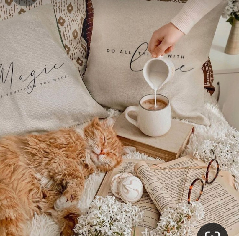 Screenshot_20230418_233442_Pinterest