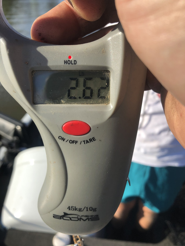 1AC71CA9-4E70-4B1E-B07A-6ABEDC883FFC