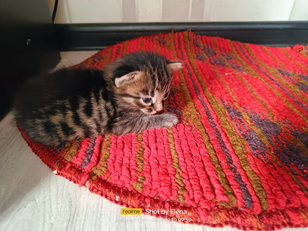 WhatsApp Image 2024-02-10 at 21.57.47 (1)