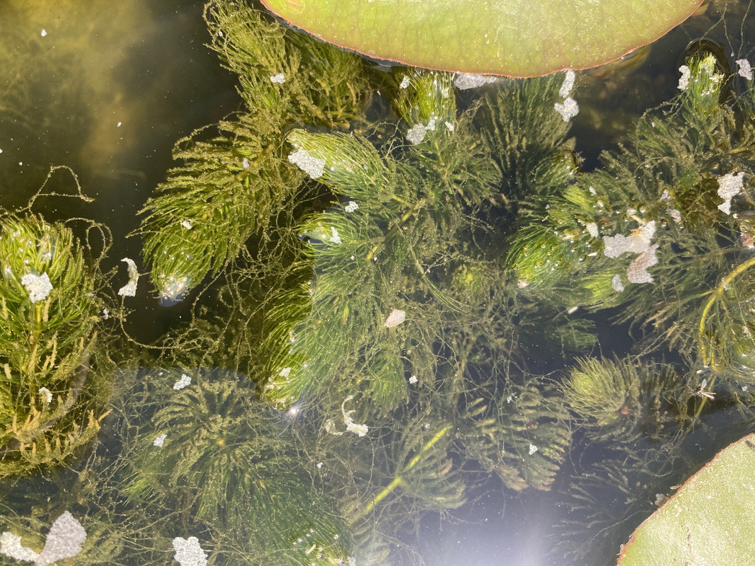 4C205C63-4E85-4D48-9DCF-5E3DF474F367