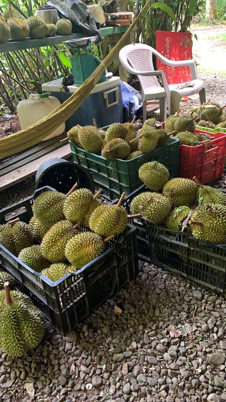 1C08848C-9AEF-48BD-9EC7-4CF30B308888