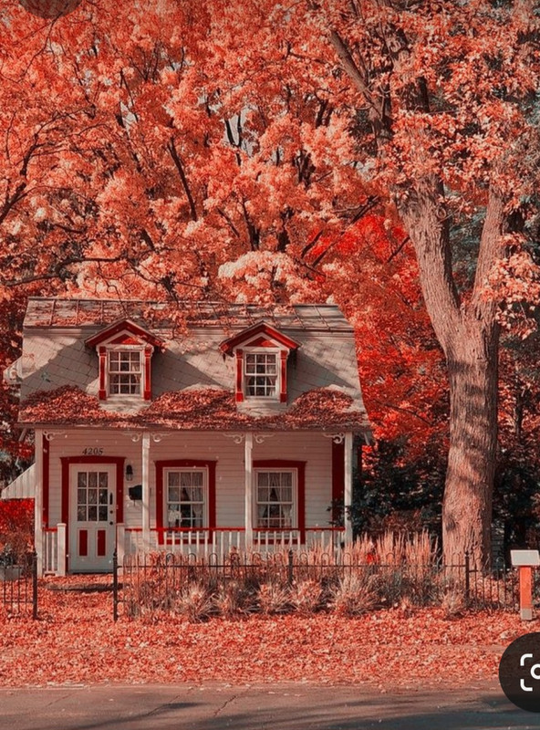 Screenshot_20231117_214704_Pinterest