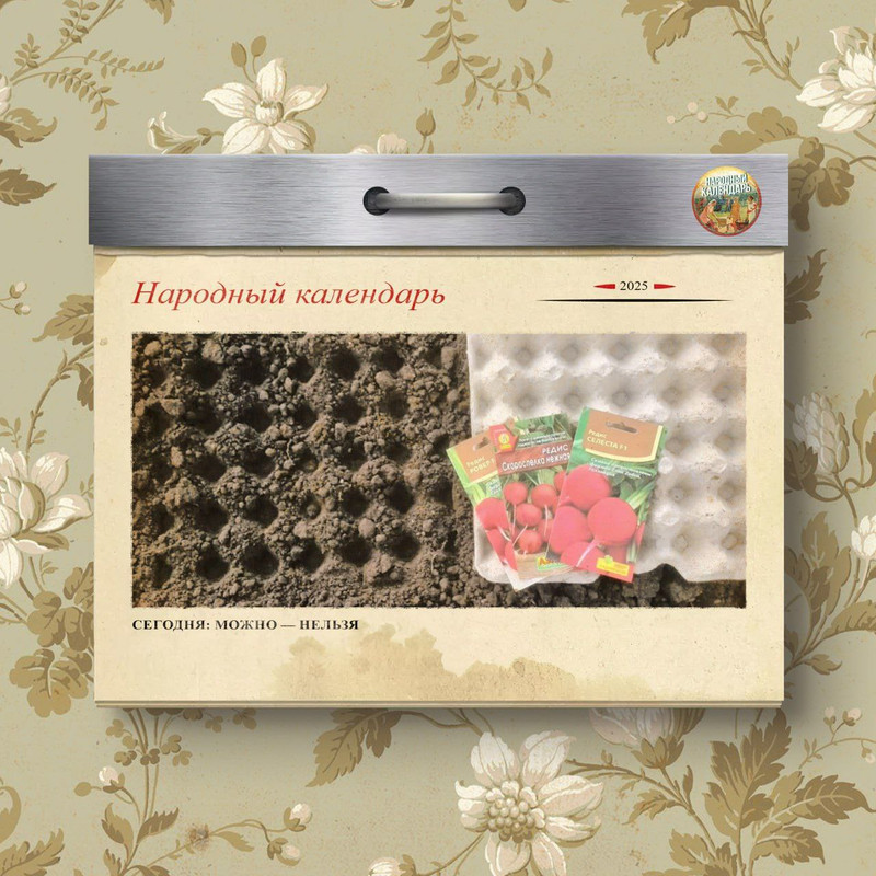 B2OBDViPczpaxsLLNHzELcHCSOqIER6IU-zvmewUV0Mmk27mr4I7jqnDT0ZgV6Lf4xcP5dZa9V6pLj3Uv_x5EibQ