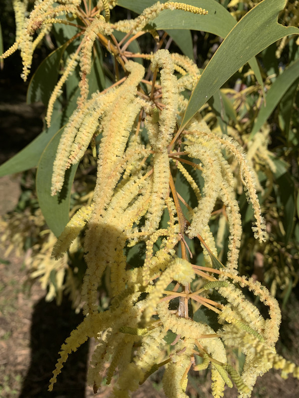 B275B05E-8D47-4F7F-9982-ED0DB1D3ABE5