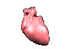 3d heart
