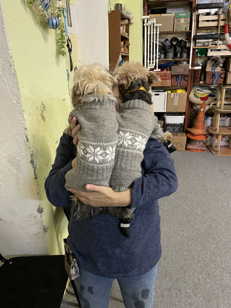 https://i.postimg.cc/Nj2T79m5/IMG-6873.jpg