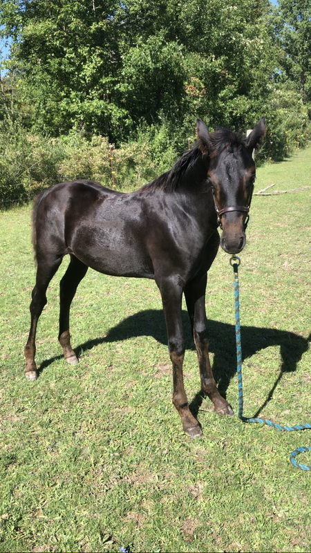 68D977E1-378A-4EA5-AF10-96B9F9C5B4BB