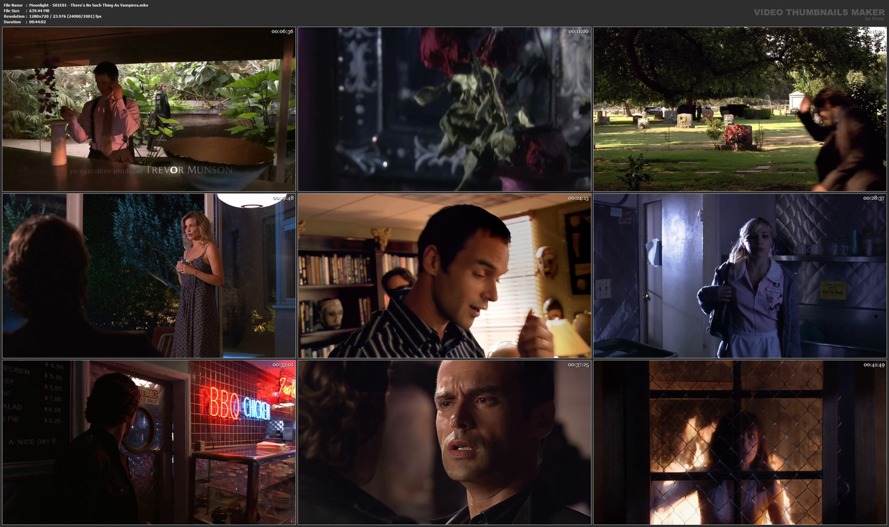 Moonlight - S01E01 - There's No Such Thing As Vampires.mkv