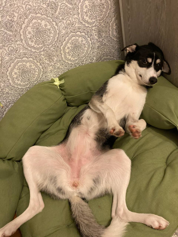 42B60E54-35C9-4996-878D-7218F6AD62A6