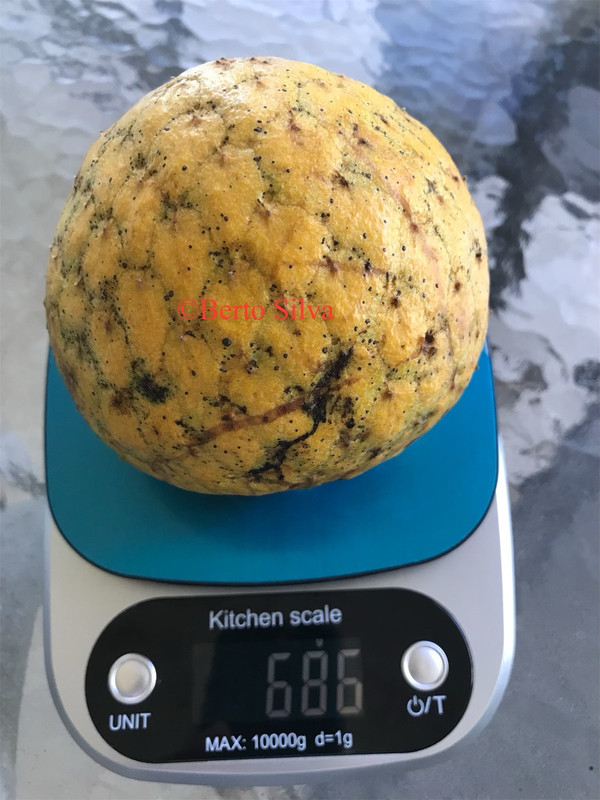 eZy Watermark_22-09-2022_09-14-31AM