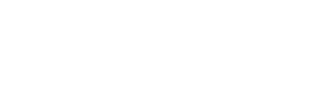SENATI MANAGER