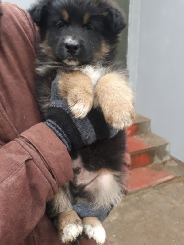 изображение_viber_2019-12-10_18-56-09