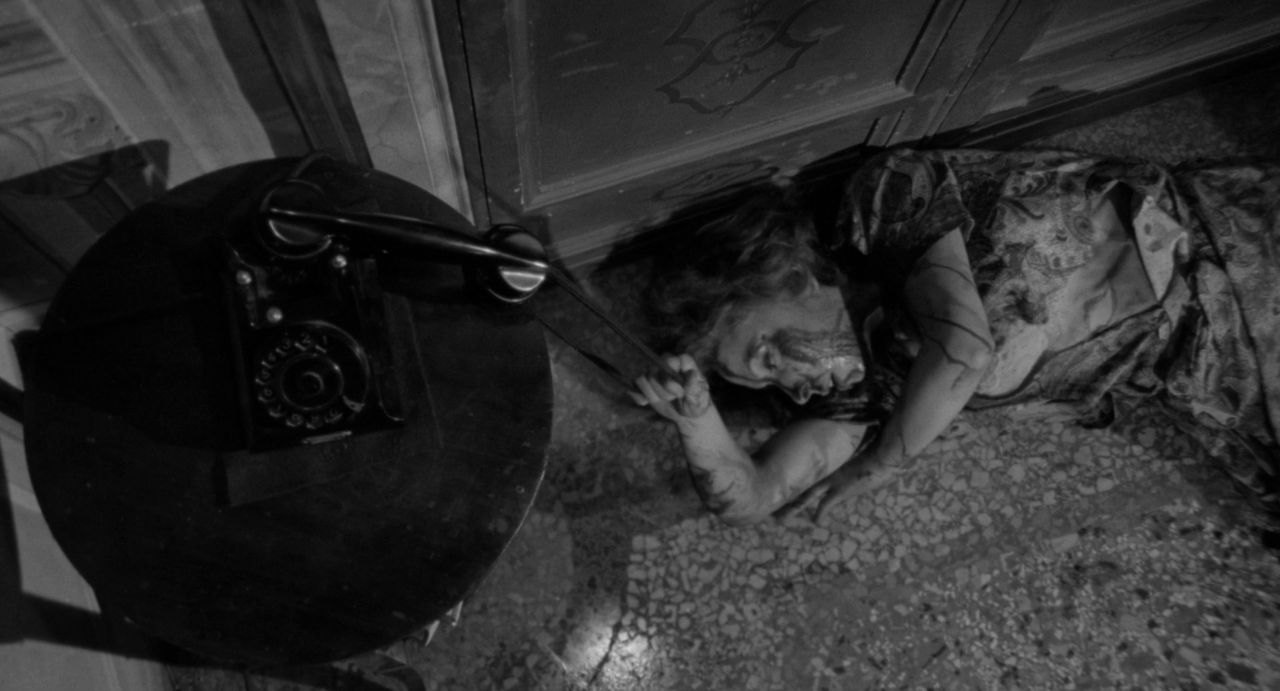 vlcsnap-2023-04-06-20h18m22s530