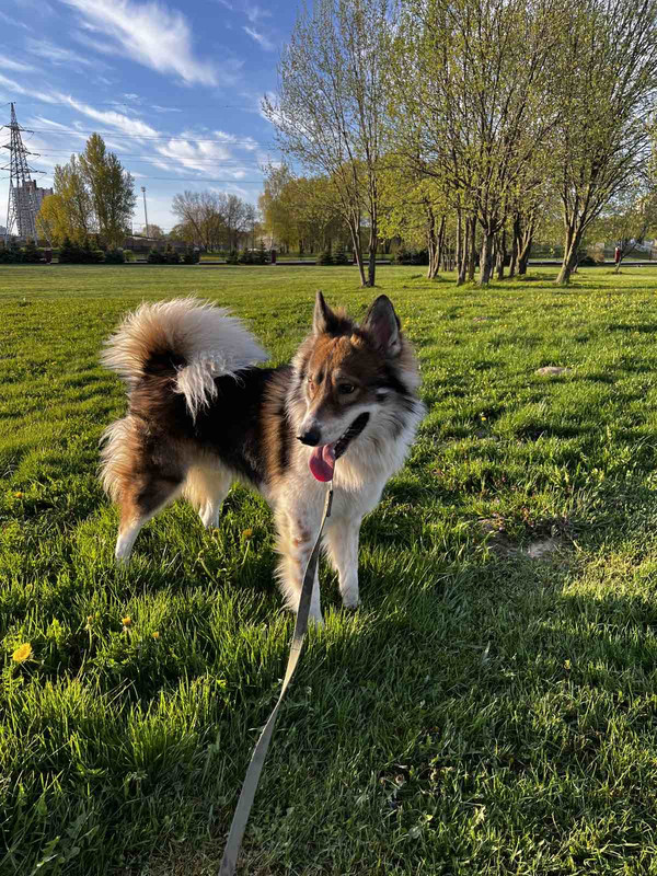 87945844-17E5-4CB7-A4B4-7D837A2F7F2E