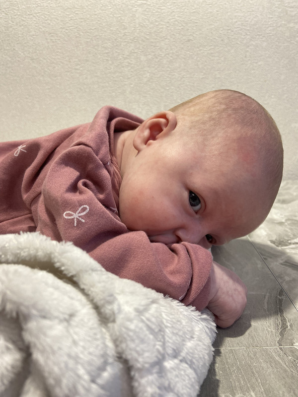 3681E375-38BE-4541-B779-AF7E6D5B4C95