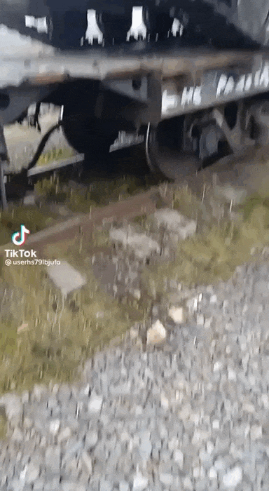 https://i.postimg.cc/Nj3VRcCp/video-2026-06-04-06-12-06-(1).gif