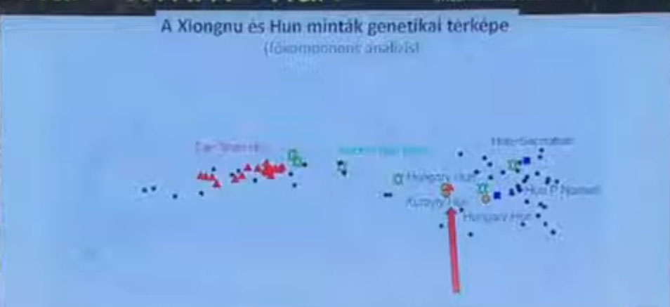 Eur-pai-hun-mint-k-zsiai-jellege.jpg