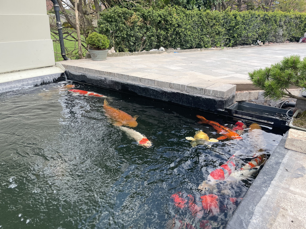 DBBB557B-0CBD-4B57-BB20-80A7C9A058F0