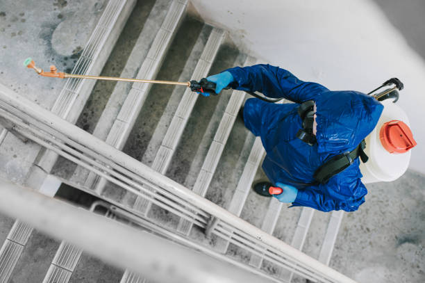 Pest Control Kissimmee