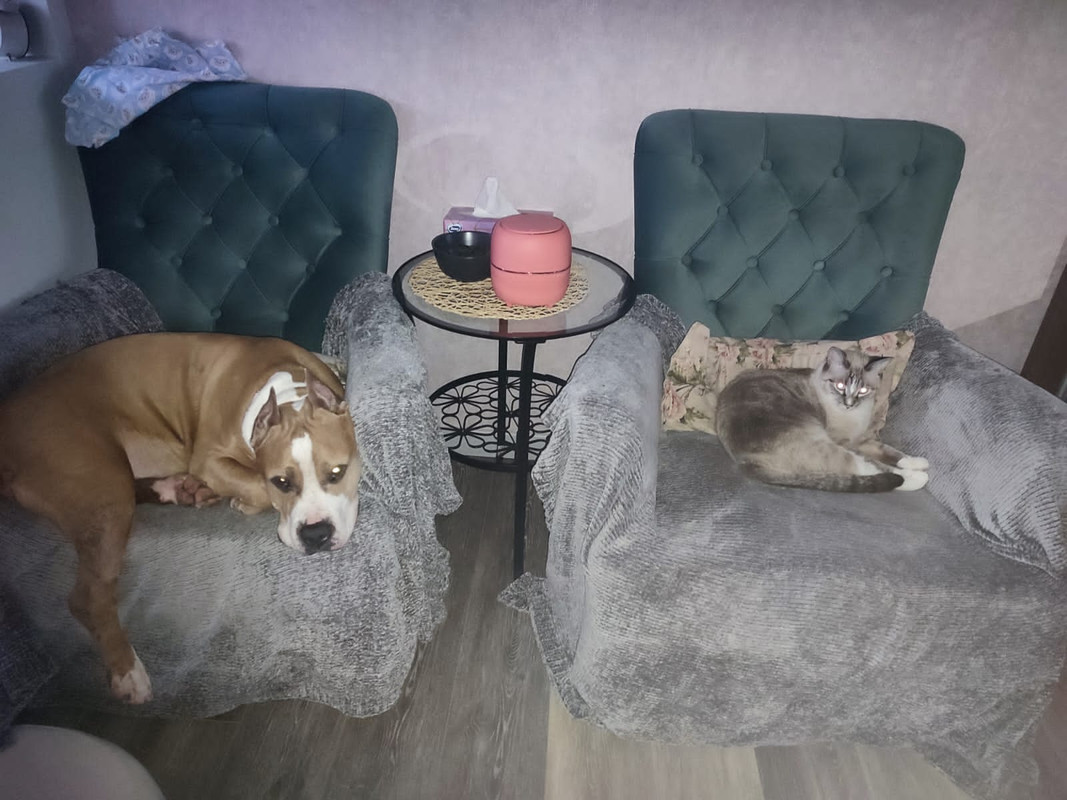 DDB613A0-C0E1-442C-AF2F-7883DD27E3BE