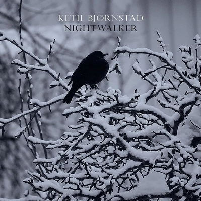 Ketil Bjørnstad • Nightwalker (2023)  .flac  96.0 kHz/24 bit