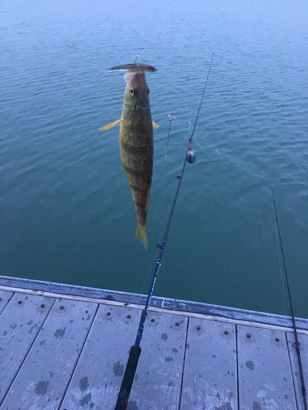 FDC464A4-22B0-4111-AD65-1AD56DA08689