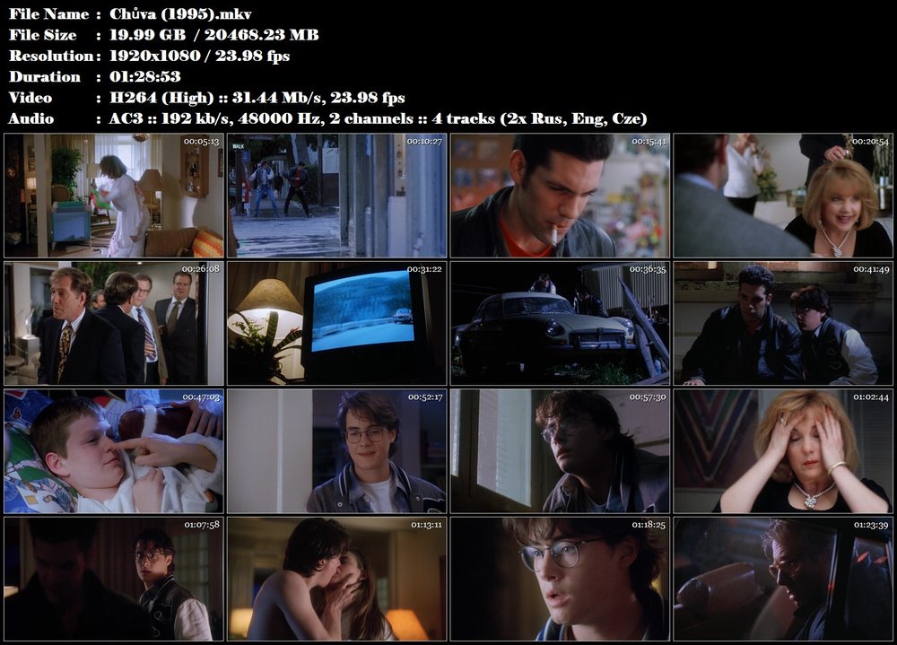 Chůva / The Babysitter (1995)