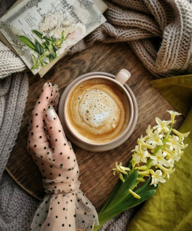 Screenshot_20231210_164443_Instagram