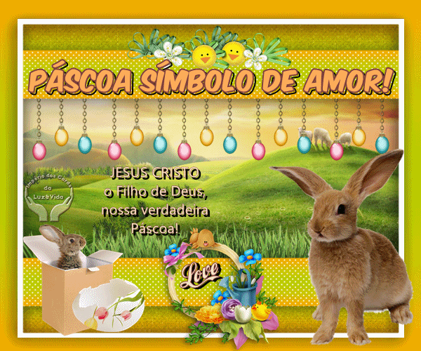 novo255-MB-maryluz.gif