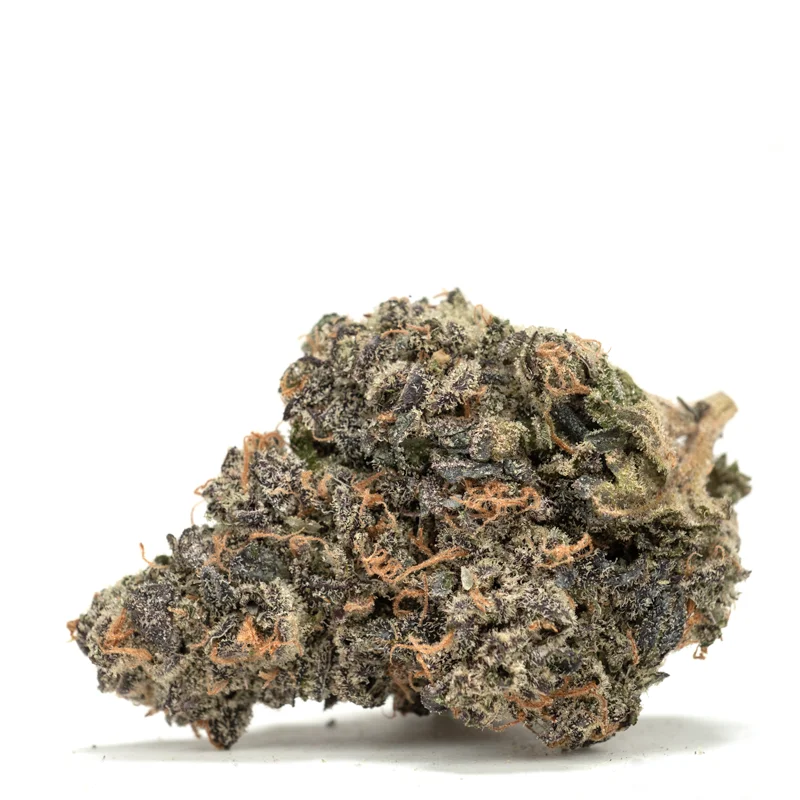 Black Widow strain flower